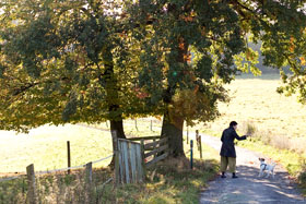 Was der Wald flüstert 
- Erzählen in der Natur